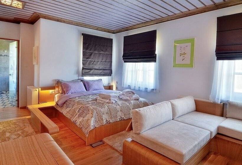 行政套房, Dilofo Hotel Luxury Suites