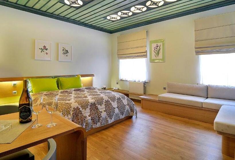 Люкс Повышенной Комфортности, Dilofo Hotel Luxury Suites