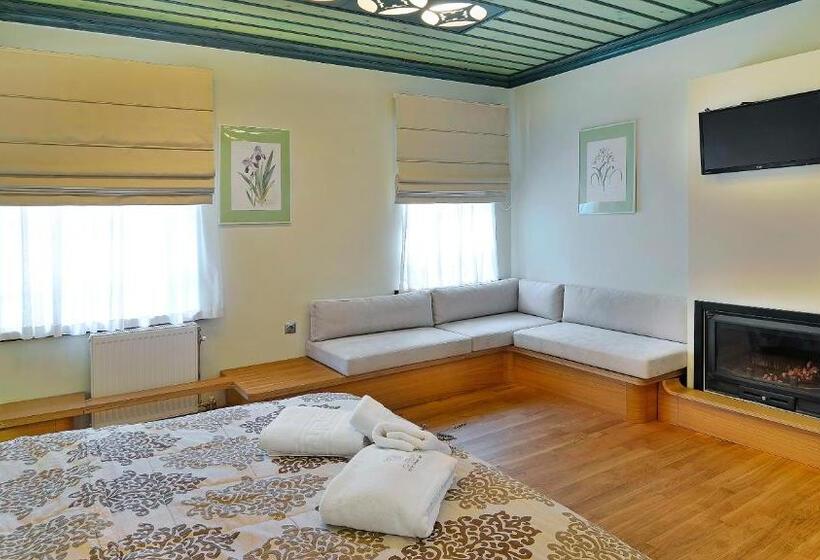 豪华套房, Dilofo Hotel Luxury Suites