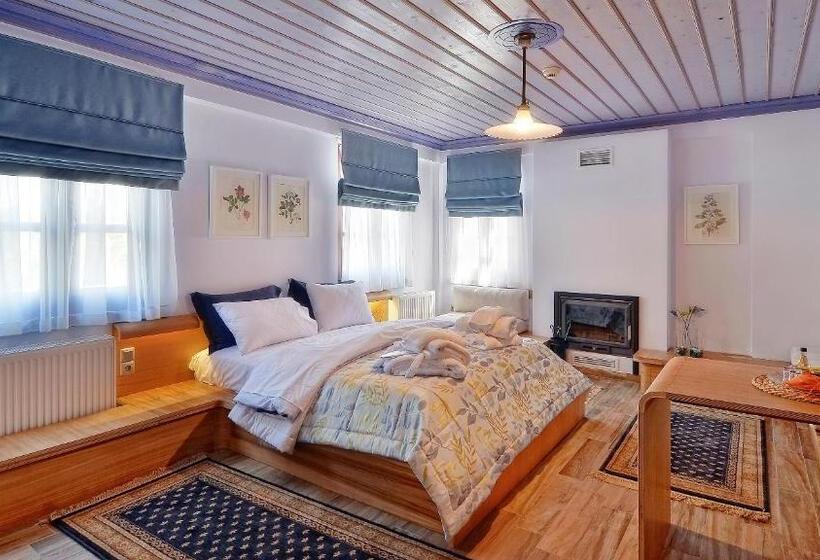 Полулюкс Одноместный с Террасой, Dilofo Hotel Luxury Suites