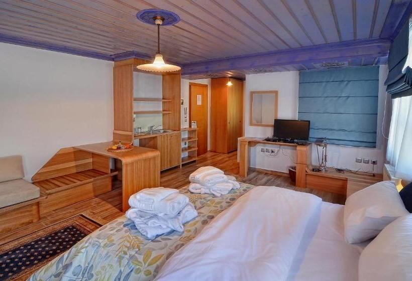 带露台的小型套房, Dilofo Hotel Luxury Suites