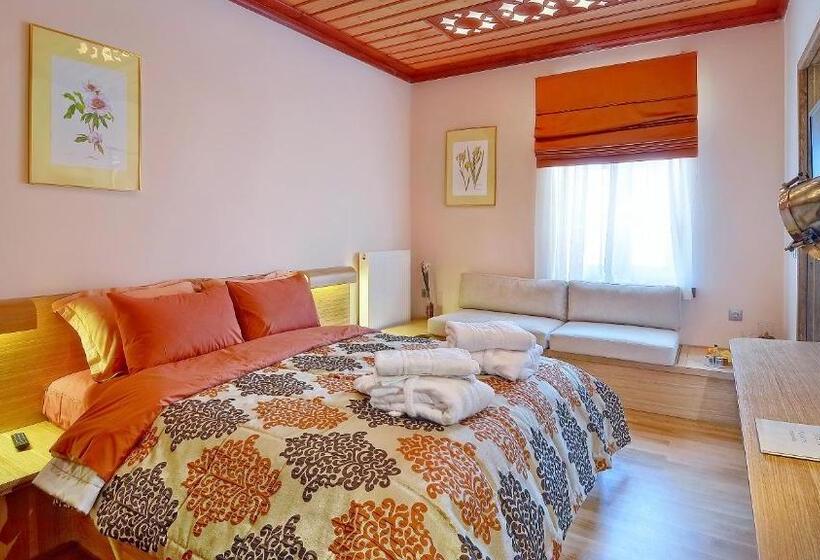 豪华工作室, Dilofo Hotel Luxury Suites