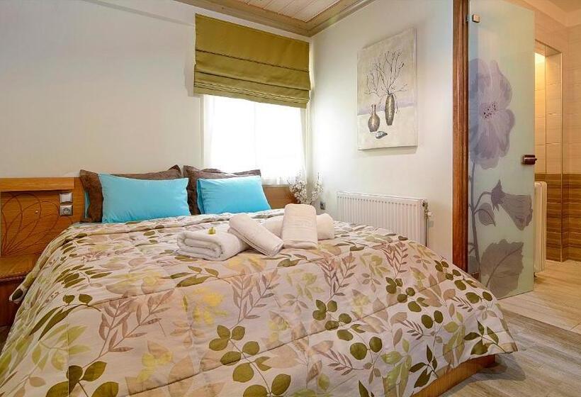 高级工作室, Dilofo Hotel Luxury Suites