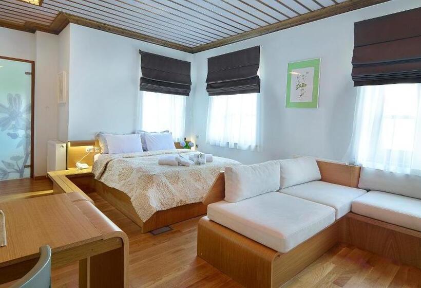 Президентский Люкс, Dilofo Hotel Luxury Suites