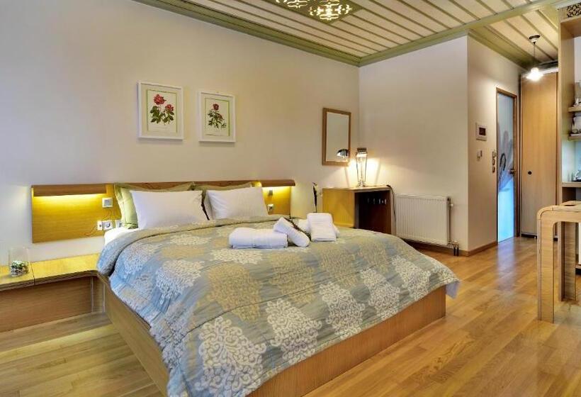 Полулюкс, Dilofo Hotel Luxury Suites