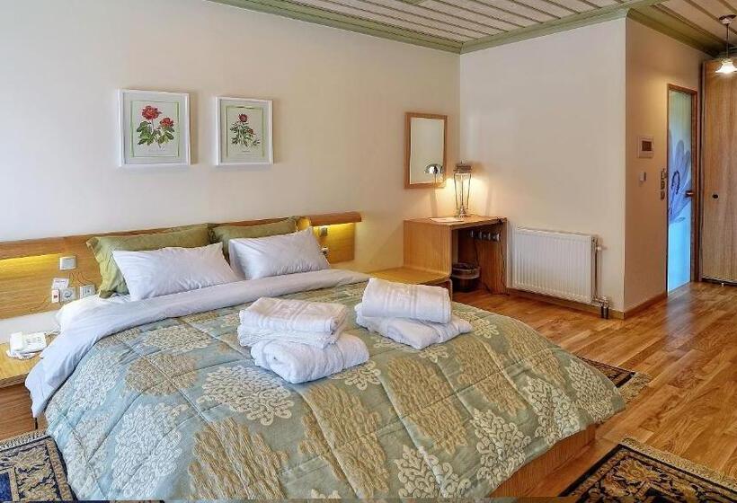 小型套房, Dilofo Hotel Luxury Suites