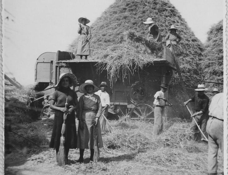 Апартаменты 1 Спальня с Балконом, Fattoria Armena