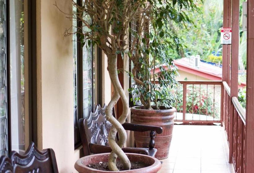 جناح جونيور, Diuwak