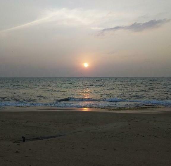 جناح جونيور, The Beach Boutique