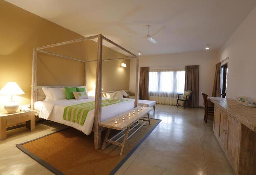 جناح عائلي, The Beach Boutique