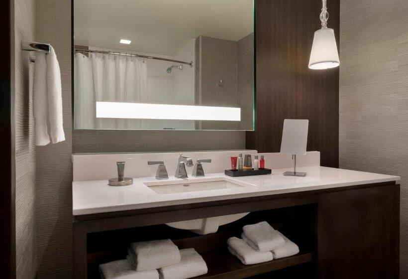 Номер Стандарт Вид на Озеро, Buffalo Marriott At Lecom Harborcenter
