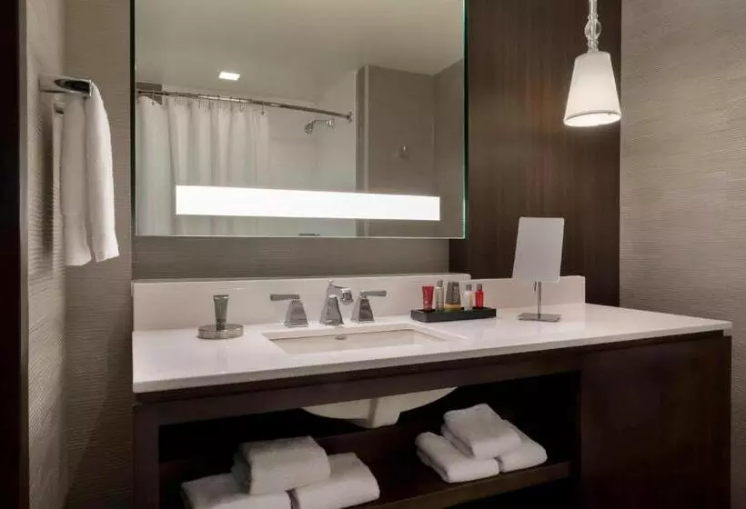 Standard-huone Järvinäkymä, Buffalo Marriott At Lecom Harborcenter