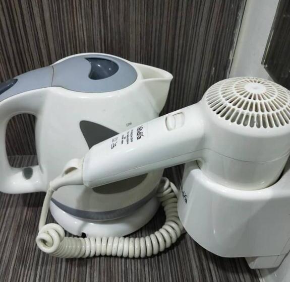 家庭套房, D Metro