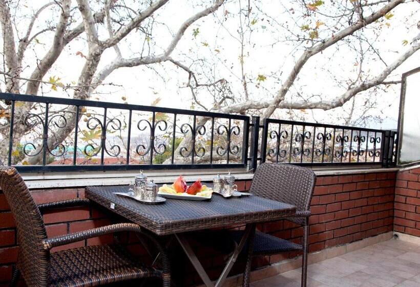 اتاق استاندارد, Kadi Konagi Thermal