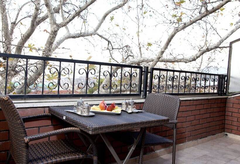 اتاق استاندارد, Kadi Konagi Thermal