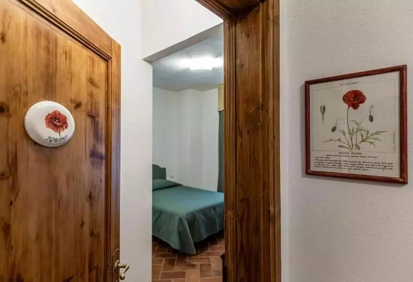 スタンダードシングルルーム, La Locanda Di Adele Il Giardinetto B&b