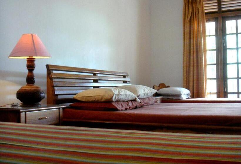 Трехместный Номер Deluxe, Le Grand Meaulnes