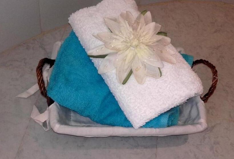 스탠다드 내측 룸, Riad Dar Zidane