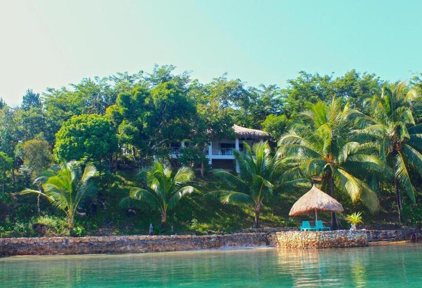 اتاق لوکس با چشم‌انداز دریا, Chindonan Dive And Beach Resort