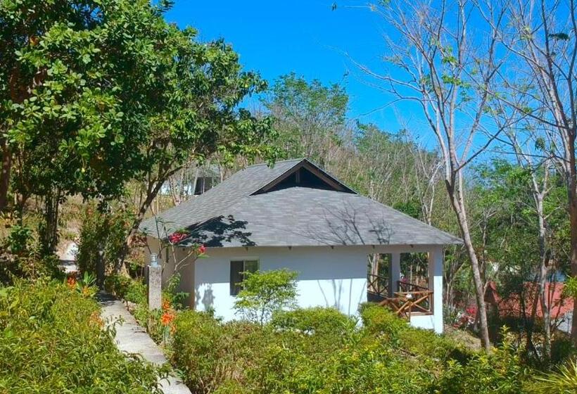 اتاق لوکس با چشم‌انداز باغ, Chindonan Dive And Beach Resort