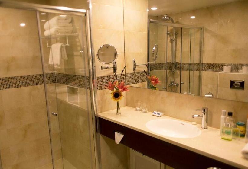 اتاق سوپریور, City Inn Palace