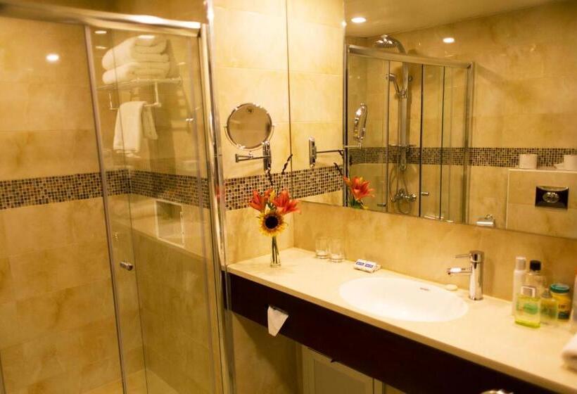 اتاق سوپریور, City Inn Palace