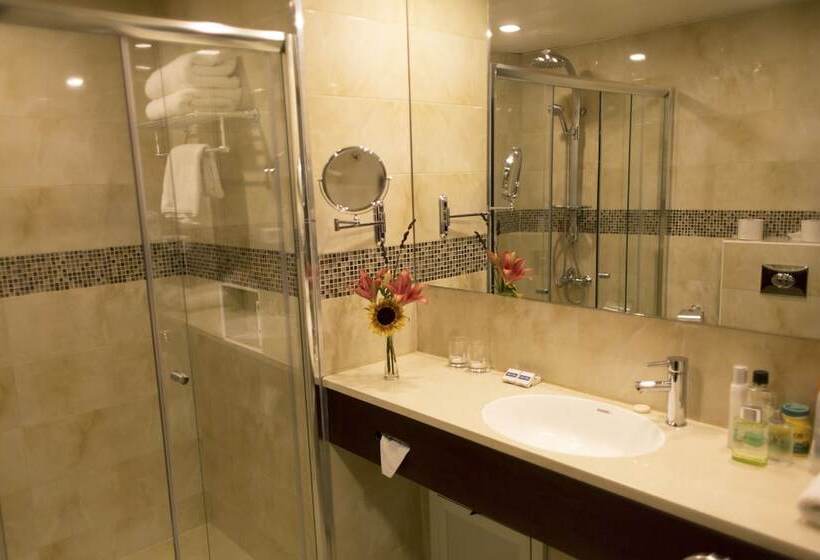 اتاق سوپریور, City Inn Palace