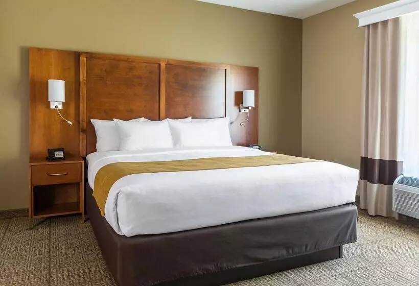 キングサイズベッドのスイートルーム, Comfort Suites Hartville North Canton