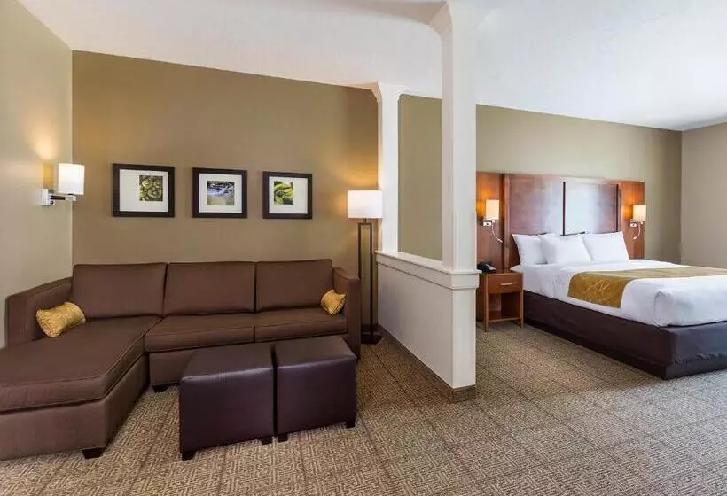 キングサイズベッドのスイートルーム, Comfort Suites Hartville North Canton