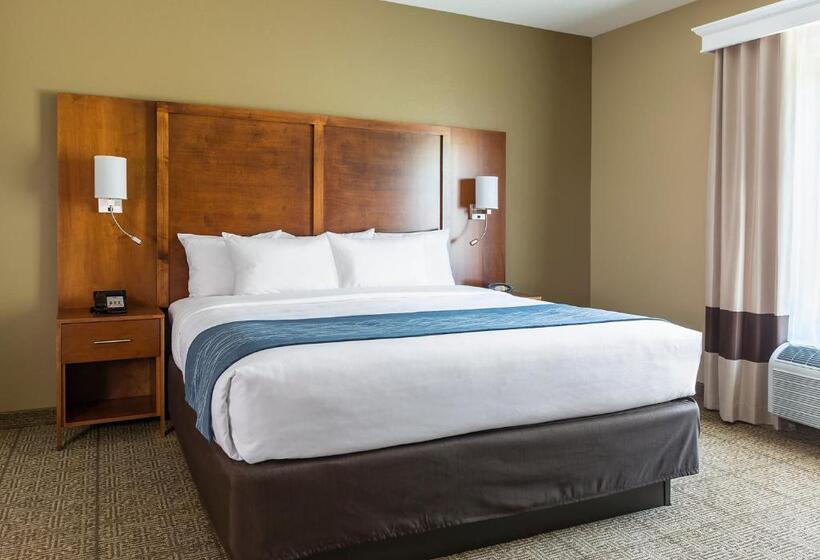 Люкс Адаптированный для Инвалидов, Comfort Suites Hartville North Canton
