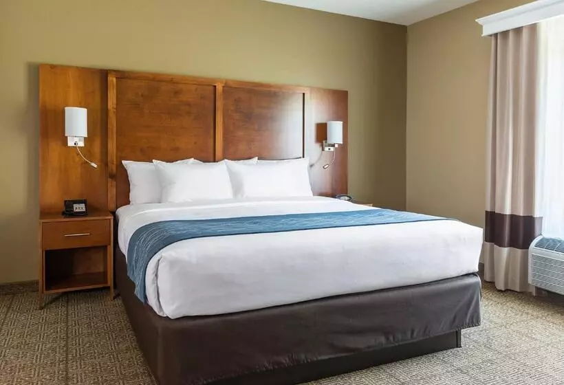 身障者適用スイートルーム, Comfort Suites Hartville North Canton