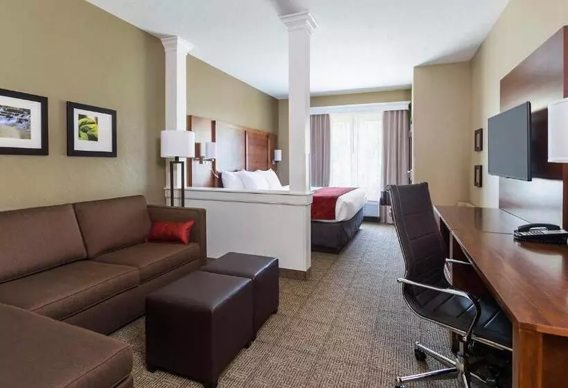 身障者適用スイートルーム, Comfort Suites Hartville North Canton