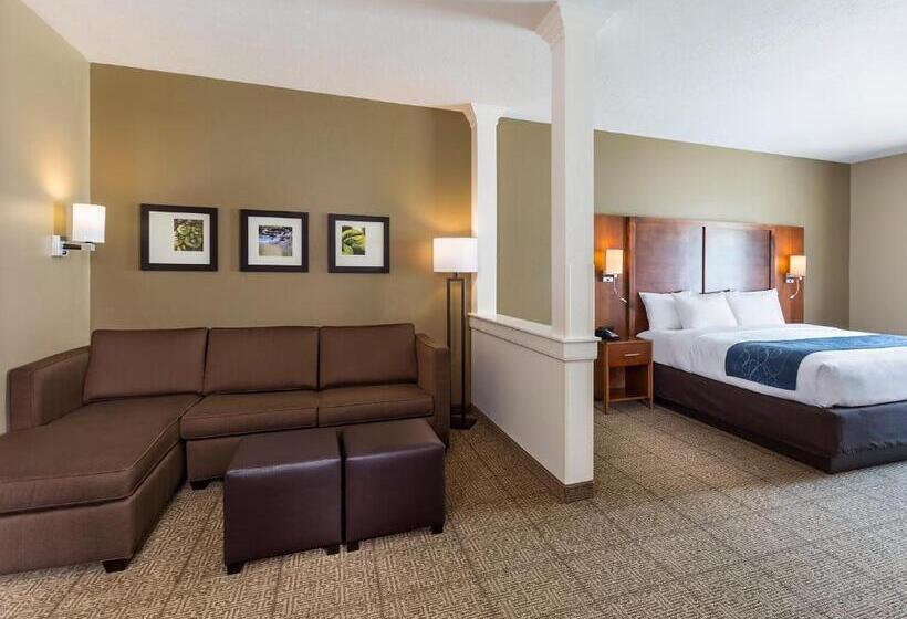 Люкс Адаптированный для Инвалидов, Comfort Suites Hartville North Canton
