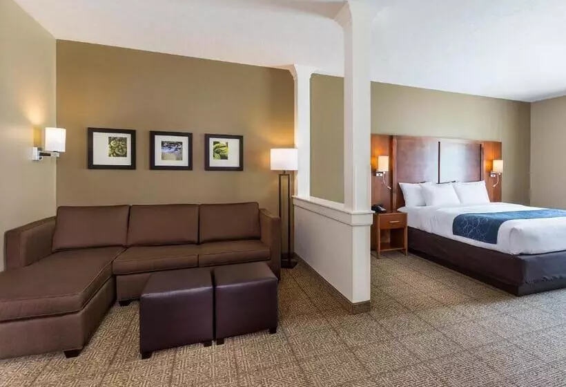 身障者適用スイートルーム, Comfort Suites Hartville North Canton