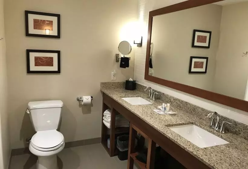 スイート, Comfort Suites Hartville North Canton
