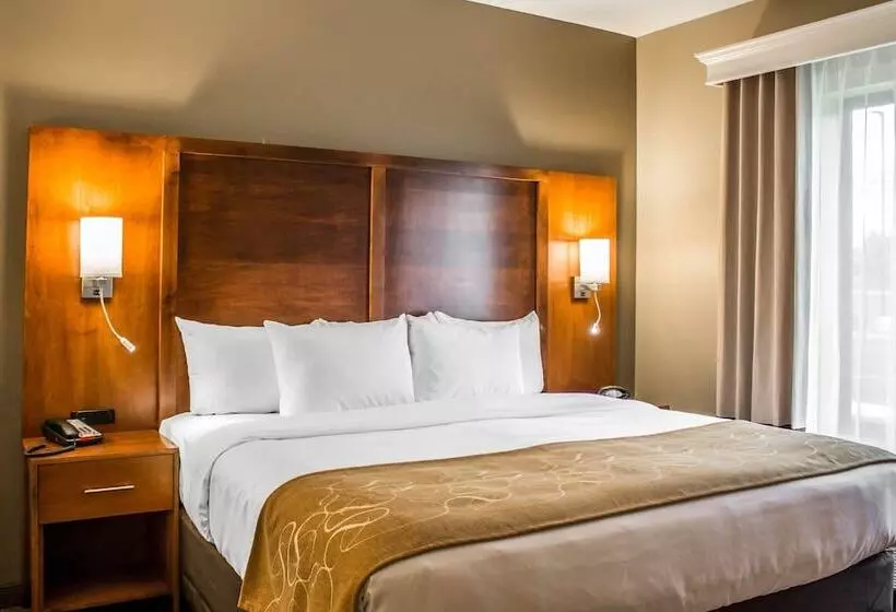 スイート, Comfort Suites Hartville North Canton