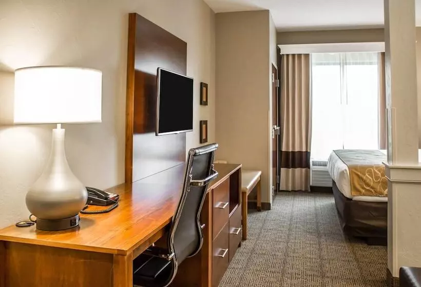 スイート, Comfort Suites Hartville North Canton
