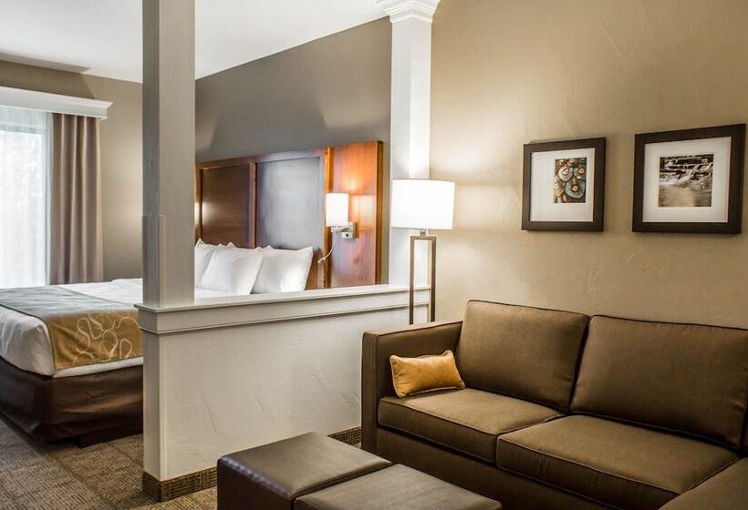 Люкс, Comfort Suites Hartville North Canton