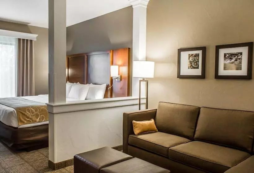スイート, Comfort Suites Hartville North Canton