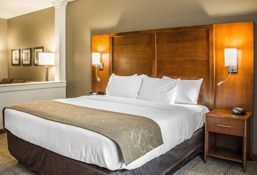 Люкс, Comfort Suites Hartville North Canton