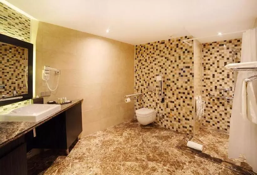 اتاق استاندارد با تخت بزرگ برای معلولان, Crowne Plaza   Borjomi, An Ihg