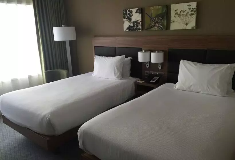 Standard-huone, Hilton Garden Inn Sunderland