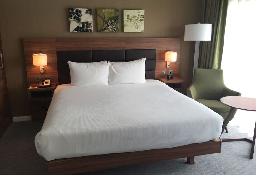 Люкс Кровать Кинг, Hilton Garden Inn Sunderland