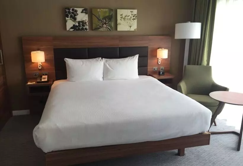 Sviitti King-vuode, Hilton Garden Inn Sunderland