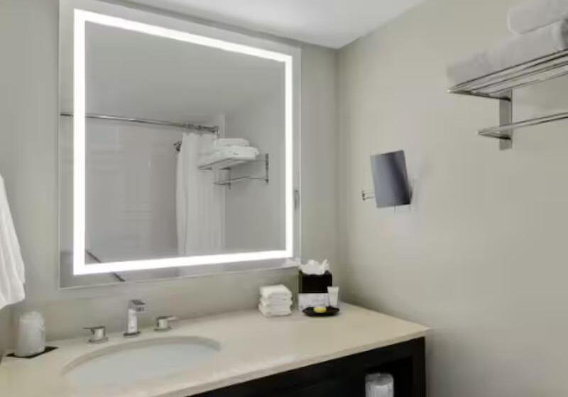 Семейный Номер, Hilton Garden Inn Sunderland