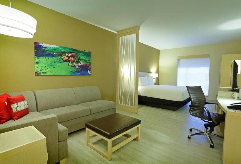 اتاق استاندارد با تخت بزرگ, Hyatt Place Tegucigalpa