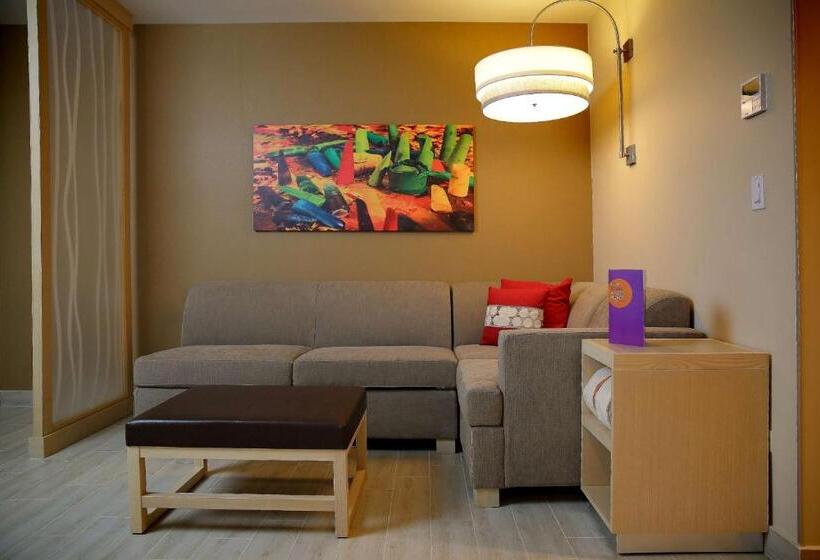 اتاق استاندارد با تخت بزرگ, Hyatt Place Tegucigalpa