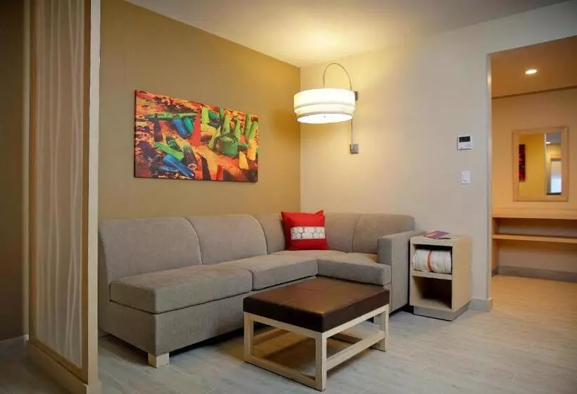 سوئیت با تخت بزرگ, Hyatt Place Tegucigalpa
