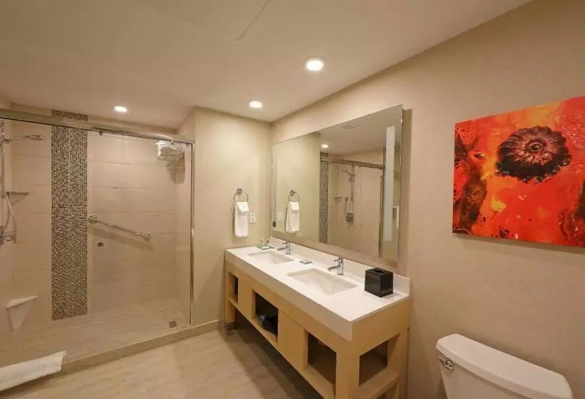 سوئیت با تخت بزرگ, Hyatt Place Tegucigalpa