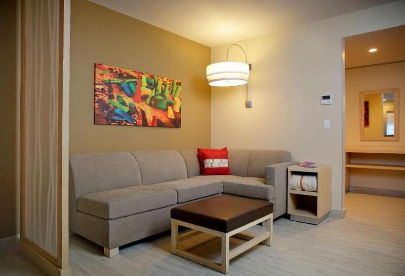 اتاق استاندارد با تخت بزرگ, Hyatt Place Tegucigalpa